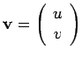 $\mathbf {v} =
\left(
\begin{array}{c}
u\\
v
\end{array}\right)$