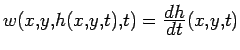 $w(x,y,h(x,y,t),t) = \frac{\displaystyle dh}{\displaystyle dt}(x,y,t)$